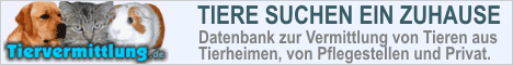 Tiervermittlung.de Banner