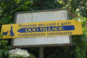 Dog Village