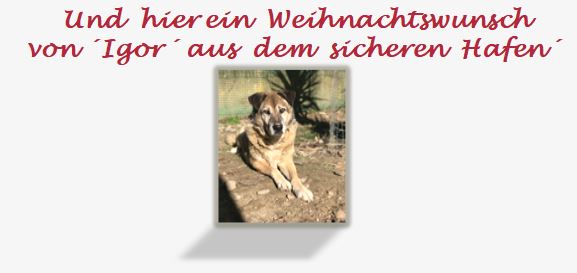 https://www.pro-canalba.eu/wp-content/uploads/2020/12/Weihnachtsbrief2020.pdf