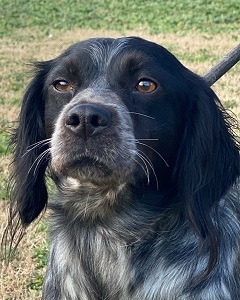 von schlechter Haltung gezeichnet