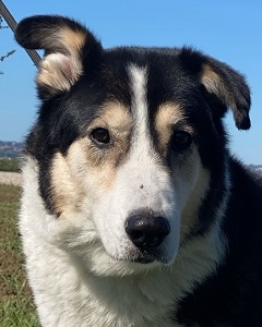 Senior sucht weichen Liegeplatz,