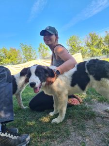 Jannika, Timo, Konfuzius