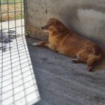 resized to width 1200 16/07/2025 11