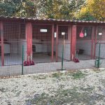 WhatsApp Bild 2025-11-30 um 07.44.46_b9f4c6d8