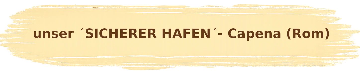 zum `SICHEREN HAFEN´
